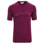Pánske funkčné tričko Icebreaker Men Tech Lite II SS Tee