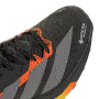 Pánske turistické topánky Adidas Terrex Agravic Gtx 2