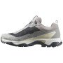 Dámske topánky Salomon X Ultra 5 Gore-Tex