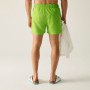 Pánske plavky Regatta Mawson Swim Shorts III