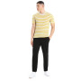 Pánske tričko Icebreaker Drayden SS Tee Stripe