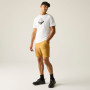 Pánske tričko Regatta Fingal Graphic T-Shirt