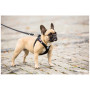 Vôdzka pre psa Curli Adjustable Leash Nylon