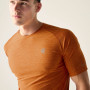 Pánske tričko Dare 2b Power Up Tee