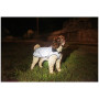 Pláštenka pre psa Mountain Paws Reflective Fleece-Lined Dog Raincoat