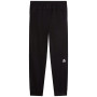 Pánske tepláky The North Face M Mountain Athletics Fleece Pant 2.0