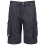 Pánske kraťasy Regatta Shorebay Short sivá SealGrey