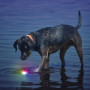 Hračka pre psa Nite Ize Glowstreak LED Ball