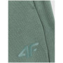 Pánske tepláky 4F Trousers Cas M1272