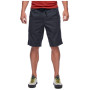 Pánske kraťasy Black Diamond M Notion Shorts