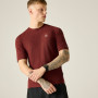Pánske tričko Dare 2b Power Up Tee