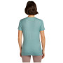 Dámske tričko Icebreaker Women Merino 150 Tech Lite SS Tee Terrain