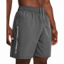 Pánske kraťasy Under Armour Woven Wdmk Shorts