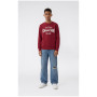 Detská mikina Champion Crewneck Sweatshirt B GMS