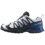 Pánske bežecké topánky Salomon Xa Pro 3D V9 GTX Icon
