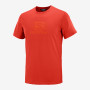 Pánske tričko Salomon Blend Logo Ss Tee M