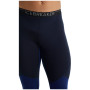 Pánske spodky Icebreaker Mens 260 Zone Leggings