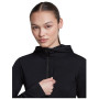 Dámska funkčná mikina Icebreaker Women Merino Blend 200 RealFleece™ Descender LS Zip Hoodie