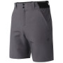 Pánske kraťasy Dare 2b Torrek II Short