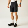 Pánske cyklistické kraťasy Dare 2b Ecliptic III Short