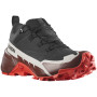 Pánske turistické topánky Salomon Cross Hike 2 Gore-Tex