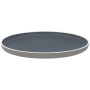 Tanier Brunner Dinner plate