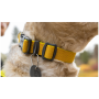 Obojok pre psa Ruffwear Hi & Light™ Collar