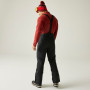 Pánske nohavice Dare 2b Achieve III Insulated Pant