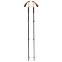 Trekové palice Black Diamond Trail Cork Trekking Poles