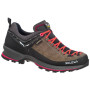 Dámske topánky Salewa Ws Mtn Trainer 2 Gtx hnedá