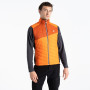 Pánska vesta Dare 2b Touring Gilet