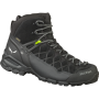 Pánske topánky Salewa MS Alp Trainer MID GTX
