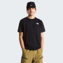 Pánske tričko The North Face M Evolution Box Nse Regular Short Sleeve