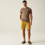 Pánske kraťasy Regatta Shorebay Shorts II