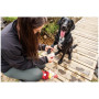 Lekárnička pre psov Mountain Paws Compact Dog First Aid Kit