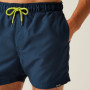Pánske plavky Regatta Mawson Swim Shorts III