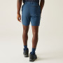 Pánske kraťasy Regatta Travel Light Packaway Shorts