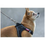 Vôdzka pre psa Curli Ultra Strong Pocket Leash