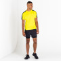 Pánske tričko Dare 2b Discernible Tee
