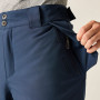 Pánske nohavice Dare 2b Baseplate Insulated Pant