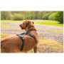 Postroj pre psa Mountain Paws 3-Strap Dog Harness