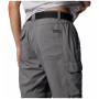 Pánske nohavice Columbia Silver Ridge™ Utility Convertible Pant