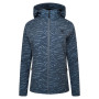 Dámska bunda Dare 2b Far Out SoftShell