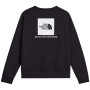 Pánska mikina The North Face M Evolution Box Nse Regular Crew