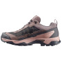 Dámske topánky Salomon X Ultra 5 Gore-Tex