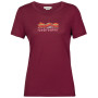 Dámske tričko Icebreaker Tech Lite II SS Tee Mountain Geology