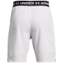 Pánske kraťasy Under Armour Vanish Woven Shorts