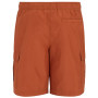 Pánske plavky Regatta Blanmont Swim Short