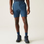 Pánske kraťasy Regatta Travel Light Packaway Shorts