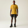 Pánske tričko Dare 2b Movement III Tee